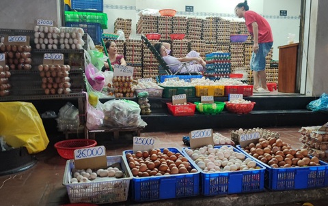 Tin tức sáng 13-3: Giá gà, giá trứng đều thấp; Trung tâm đăng kiểm nào được CSGT chi viện? - Ảnh 1. Tin tức sáng 13-3: Giá gà, giá trứng đều thấp; Trung tâm đăng kiểm nào được CSGT chi viện? - Ảnh 1.