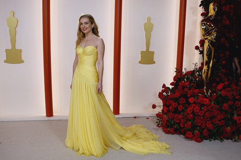 Các ngôi sao lộng lẫy trên thảm vàng Oscar - Ảnh 3. Các ngôi sao lộng lẫy trên thảm vàng Oscar - Ảnh 3.