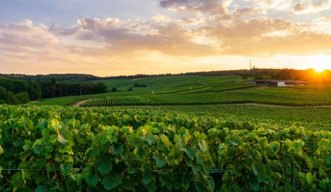 Hấp dẫn tour du lịch Pháp - Bỉ - Hà Lan - Luxembourg - Đức - Ảnh 5. Hấp dẫn tour du lịch Pháp - Bỉ - Hà Lan - Luxembourg - Đức - Ảnh 5.