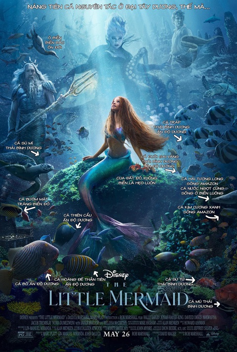 Ảnh vui 15-3: Poster Nàng Tiên Cá bị bóc phốt lỗi kiến thức - Ảnh 1. Ảnh vui 15-3: Poster Nàng Tiên Cá bị bóc phốt lỗi kiến thức - Ảnh 1.