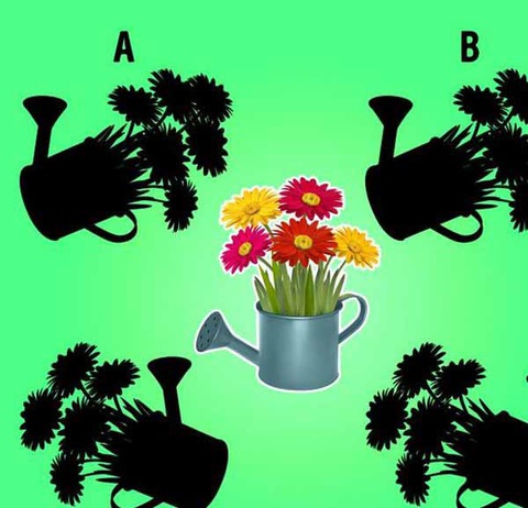 Có bao nhiêu con rắn ngụy trang trong bụi cỏ? - Ảnh 4. Có bao nhiêu con rắn ngụy trang trong bụi cỏ? - Ảnh 4.