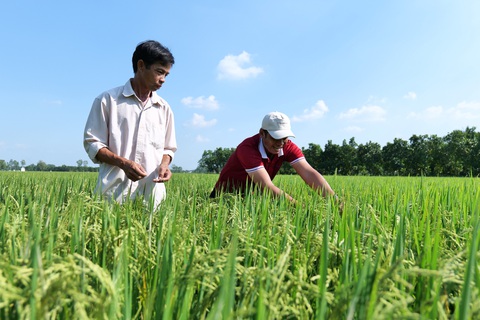 Syngenta Việt Nam ‘trình làng’ công nghệ mới phòng trừ sâu kháng thuốc và gối lứa - Ảnh 6. Syngenta Việt Nam ‘trình làng’ công nghệ mới phòng trừ sâu kháng thuốc và gối lứa - Ảnh 6.