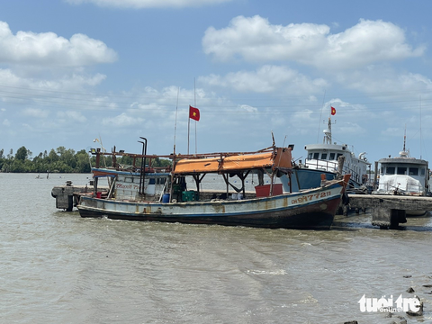 10 tàu cá tháo thiết bị giám sát hành trình để chuyển qua một tàu câu mực chở thuê - Ảnh 1. 10 tàu cá tháo thiết bị giám sát hành trình để chuyển qua một tàu câu mực chở thuê - Ảnh 1.