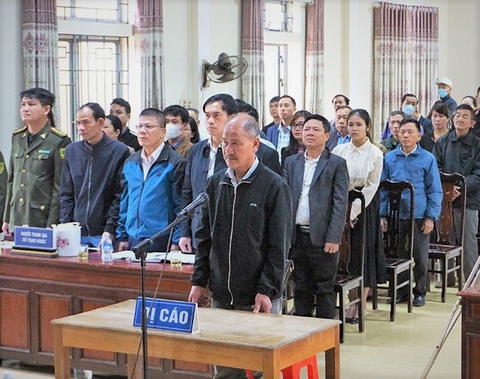 Bồi thường 1,2 tỉ đồng vì chặt phá hơn 4,7 hecta rừng - Ảnh 1. Bồi thường 1,2 tỉ đồng vì chặt phá hơn 4,7 hecta rừng - Ảnh 1.