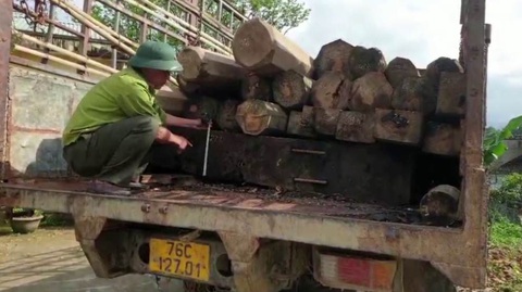 Kiểm lâm vừa bị đánh vừa nghe dọa Mày biết gỗ của ai không mà bắt? - Ảnh 2. Kiểm lâm vừa bị đánh vừa nghe dọa Mày biết gỗ của ai không mà bắt? - Ảnh 2.