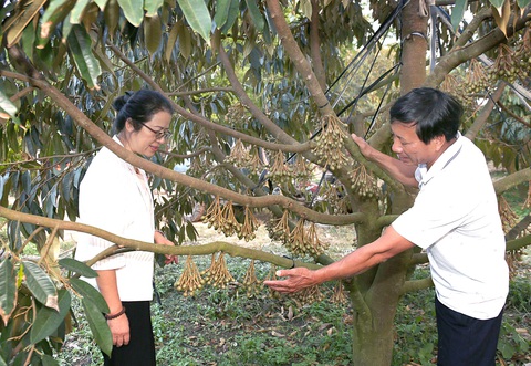 Agribank luôn đồng hành với nông dân - Ảnh 1. Agribank luôn đồng hành với nông dân - Ảnh 1.