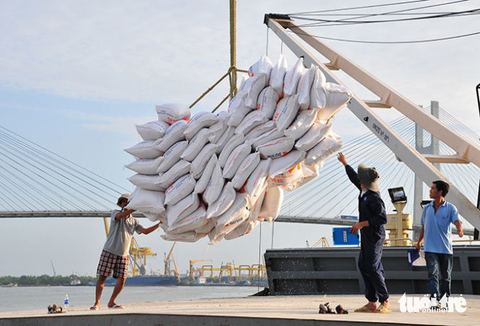 Giá gạo Việt Nam có thời điểm cao nhất thế giới, nông dân lời hơn 100% - Ảnh 3. Giá gạo Việt Nam có thời điểm cao nhất thế giới, nông dân lời hơn 100% - Ảnh 3.