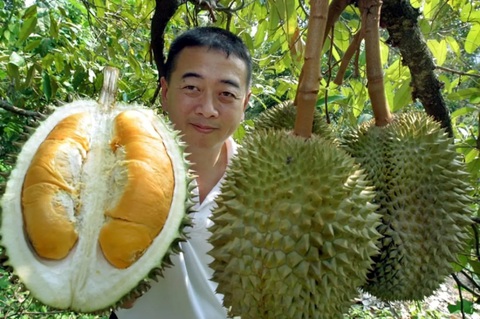 Trung Quốc sắp thu hoạch lứa sầu riêng đầu tiên trồng trong nước - Ảnh 1. Trung Quốc sắp thu hoạch lứa sầu riêng đầu tiên trồng trong nước - Ảnh 1.