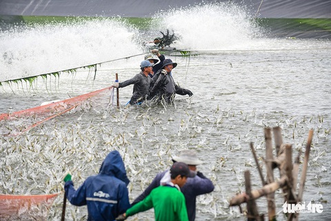 Tin tức sáng 21-3: Công chức chưa đạt tiêu chuẩn chuyên môn thuộc diện tinh giản biên chế - Ảnh 1. Tin tức sáng 21-3: Công chức chưa đạt tiêu chuẩn chuyên môn thuộc diện tinh giản biên chế - Ảnh 1.
