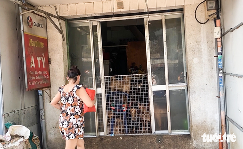 Vụ hộ dân nuôi 82 con chó gây ô nhiễm: Phường và người dân vận động san sẻ bớt đàn chó - Ảnh 1. Vụ hộ dân nuôi 82 con chó gây ô nhiễm: Phường và người dân vận động san sẻ bớt đàn chó - Ảnh 1.
