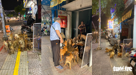 Vụ hộ dân nuôi 82 con chó gây ô nhiễm: Phường và người dân vận động san sẻ bớt đàn chó - Ảnh 2. Vụ hộ dân nuôi 82 con chó gây ô nhiễm: Phường và người dân vận động san sẻ bớt đàn chó - Ảnh 2.