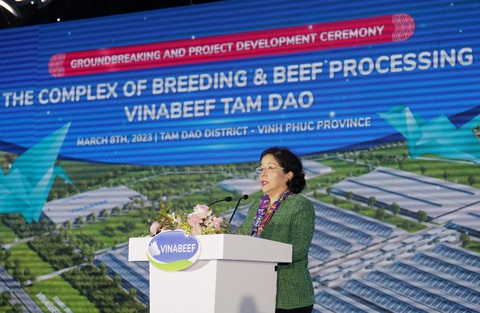Vilico - công ty con Vinamilk và dấu ấn chuyển mình với dự án bò thịt nghìn tỉ - Ảnh 5. Vilico - công ty con Vinamilk và dấu ấn chuyển mình với dự án bò thịt nghìn tỉ - Ảnh 5.