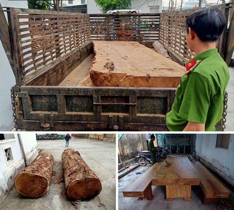 Bị bắt tại chỗ khi đang cưa gỗ thuộc rừng sản xuất - Ảnh 4. Bị bắt tại chỗ khi đang cưa gỗ thuộc rừng sản xuất - Ảnh 4.