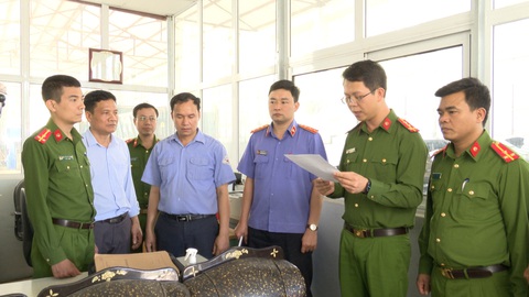 Giá một giấy chứng nhận đăng kiểm trái quy định: 7 - 8,5 triệu đồng - Ảnh 1. Giá một giấy chứng nhận đăng kiểm trái quy định: 7 - 8,5 triệu đồng - Ảnh 1.