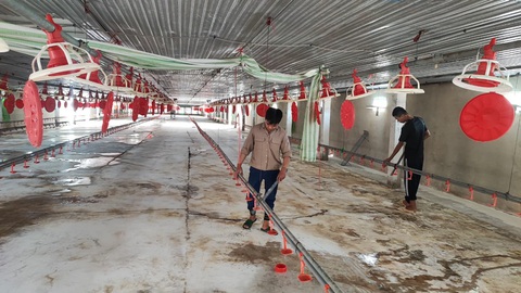 Tiền tỉ ra đi, chăn nuôi heo, gà... treo chuồng - Ảnh 3. Tiền tỉ ra đi, chăn nuôi heo, gà... treo chuồng - Ảnh 3.