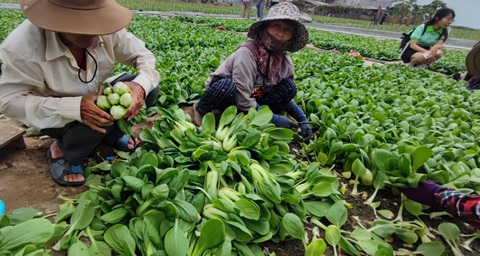 Tin sáng 27-3: TP.HCM thả 44.000 con cá lăng xuống sông Sài Gòn; Long An có tân phó chủ tịch tỉnh - Ảnh 4. Tin sáng 27-3: TP.HCM thả 44.000 con cá lăng xuống sông Sài Gòn; Long An có tân phó chủ tịch tỉnh - Ảnh 4.