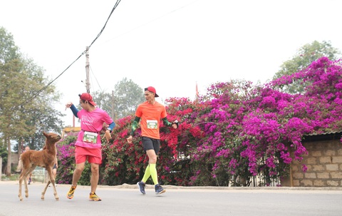 Hoàng Nguyên Thanh, Lê Thị Tuyết vô địch giải marathon quốc gia 2023 - Ảnh 9. Hoàng Nguyên Thanh, Lê Thị Tuyết vô địch giải marathon quốc gia 2023 - Ảnh 9.