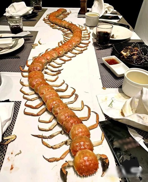 Ảnh vui 27-3: Chú chó sung sướng khi được đi chơi - Ảnh 2. Ảnh vui 27-3: Chú chó sung sướng khi được đi chơi - Ảnh 2.