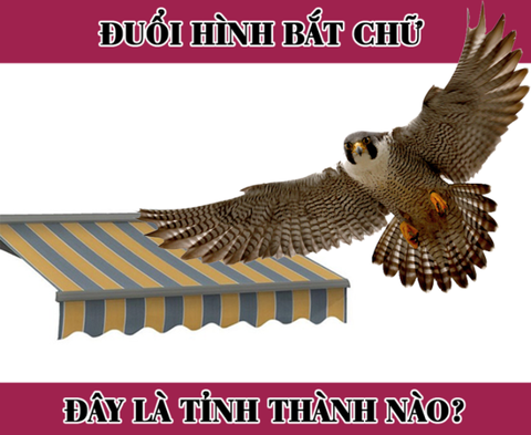 Đuổi hình bắt chữ: Đây là tỉnh thành nào của nước ta? - Ảnh 1. Đuổi hình bắt chữ: Đây là tỉnh thành nào của nước ta? - Ảnh 1.