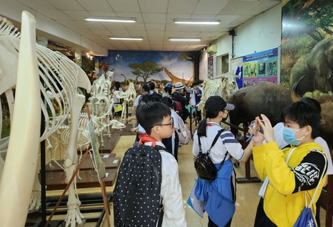Sở Giáo dục và Đào tạo TP.HCM: Hoạt động ngoại khóa là không bắt buộc - Ảnh 1. Sở Giáo dục và Đào tạo TP.HCM: Hoạt động ngoại khóa là không bắt buộc - Ảnh 1.