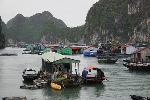 Phê bình chủ tịch huyện Cát Hải vì báo cáo không đúng thực tế - Ảnh 1. Phê bình chủ tịch huyện Cát Hải vì báo cáo không đúng thực tế - Ảnh 1.