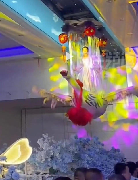 Cô dâu cưỡi thiên nga khổng lồ vào giữa lễ đường - Ảnh 1. Cô dâu cưỡi thiên nga khổng lồ vào giữa lễ đường - Ảnh 1.