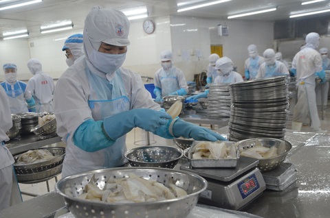 Tinh chế, liên kết chuỗi giá trị để nâng tầm thủy sản Việt Nam - Ảnh 1. Tinh chế, liên kết chuỗi giá trị để nâng tầm thủy sản Việt Nam - Ảnh 1.