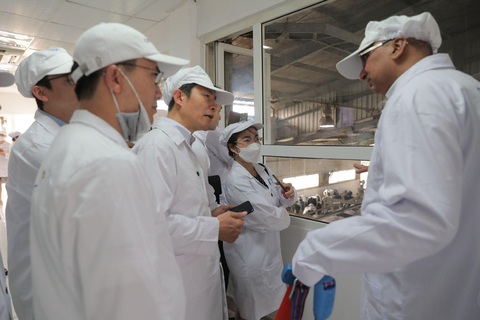 Các thành viên đoàn công tác ấn tượng với quy trình vắt sữa khép kín của TH Các thành viên đoàn công tác xem quy trình vắt sữa khép kín của TH