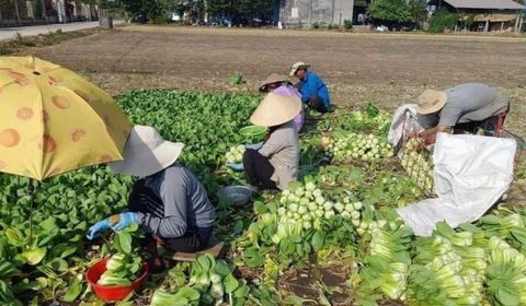 Tin tức sáng 31-3: Nhập khẩu ô tô nguyên chiếc tăng gần 100%; Còn 1 ngày chuẩn hóa SIM điện thoại - Ảnh 1. Tin tức sáng 31-3: Nhập khẩu ô tô nguyên chiếc tăng gần 100%; Còn 1 ngày chuẩn hóa SIM điện thoại - Ảnh 1.