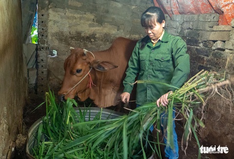 Chương trình "Tiếp Sức Nhà Nông" trao hơn 1,8 tỉ đồng vốn vay cho nông dân Gia Lai - Ảnh 1. “Tiếp Sức Nhà Nông” đã giúp cải thiện sinh kế cho 2.460 hộ nông dân tại 22 tỉnh, thành trên khắp cả nước - Ảnh: TTO