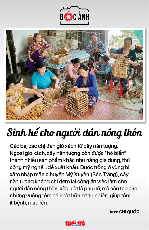 Tin tức sáng 6-3: Hà Nội chỉ còn 10 trung tâm đăng kiểm hoạt động - Ảnh 8. Tin tức sáng 6-3: Hà Nội chỉ còn 10 trung tâm đăng kiểm hoạt động - Ảnh 8.