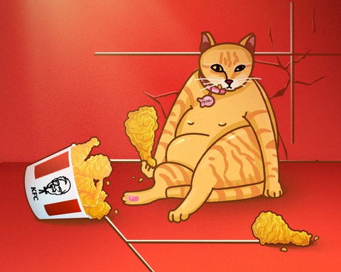 Mỹ Diệu xâm chiếm mạng xã hội, thành đại sứ thương hiệu loạt brand đình đám - Ảnh 1. Mỹ Diệu xâm chiếm mạng xã hội, thành đại sứ thương hiệu loạt brand đình đám - Ảnh 1.