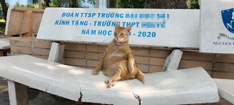Mỹ Diệu xâm chiếm mạng xã hội, thành đại sứ thương hiệu loạt brand đình đám - Ảnh 9. Mỹ Diệu xâm chiếm mạng xã hội, thành đại sứ thương hiệu loạt brand đình đám - Ảnh 9.