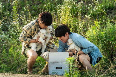 Yoo Yeon Seok, Cha Tae Hyun tuyển sen cho boss cực hài trong My puppy - Ảnh 6. Yoo Yeon Seok, Cha Tae Hyun tuyển sen cho boss cực hài trong My puppy - Ảnh 6.