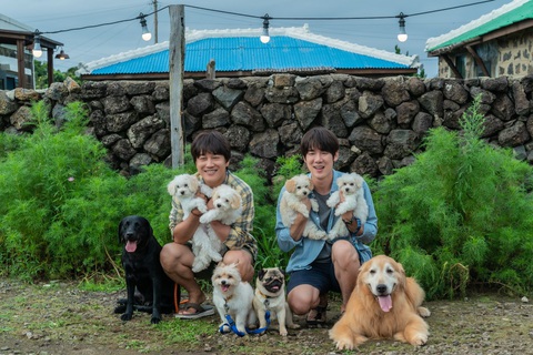 Yoo Yeon Seok, Cha Tae Hyun tuyển sen cho boss cực hài trong My puppy - Ảnh 7. Yoo Yeon Seok, Cha Tae Hyun tuyển sen cho boss cực hài trong My puppy - Ảnh 7.