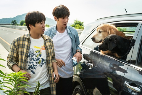 Yoo Yeon Seok, Cha Tae Hyun tuyển sen cho boss cực hài trong My puppy - Ảnh 5. Yoo Yeon Seok, Cha Tae Hyun tuyển sen cho boss cực hài trong My puppy - Ảnh 5.
