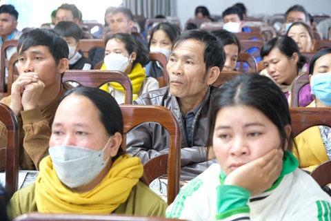 Tiếp sức nhà nông tại Gia Lai: Hy vọng mới từ nguồn vốn xanh - Ảnh 1. Tiếp sức nhà nông tại Gia Lai: Hy vọng mới từ nguồn vốn xanh - Ảnh 1.