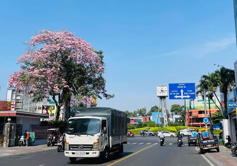 Phòng CSGT TP.HCM kiến nghị dỡ bỏ vòng xoay Điện Biên Phủ - Ảnh 1. Phòng CSGT TP.HCM kiến nghị dỡ bỏ vòng xoay Điện Biên Phủ - Ảnh 1.