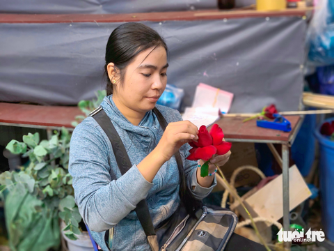Xuất hiện nhiều mẫu hoa lạ ngày 8-3 - Ảnh 2. Xuất hiện nhiều mẫu hoa lạ ngày 8-3 - Ảnh 2.