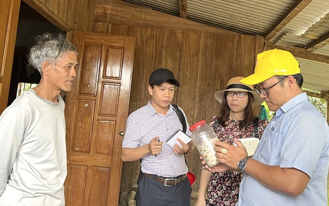 Nỗi niềm cá muối ủ chua - Ảnh 2. Đoàn công tác của Viện Pasteur Nha Trang cũng tiến hành truy vết và lấy mẫu cá muối ủ chua ở huyện Phước Sơn - Ảnh: V.Đ.