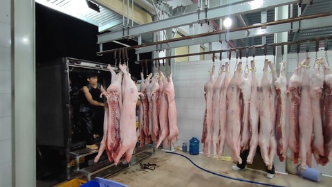 TP.HCM: Chính thức đóng cửa lò mổ thủ công, chuyển sang cơ sở giết mổ heo công nghiệp - Ảnh 4. TP.HCM: Chính thức đóng cửa lò mổ thủ công, chuyển sang cơ sở giết mổ heo công nghiệp - Ảnh 4.