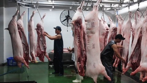TP.HCM: Chính thức đóng cửa lò mổ thủ công, chuyển sang cơ sở giết mổ heo công nghiệp - Ảnh 5. TP.HCM: Chính thức đóng cửa lò mổ thủ công, chuyển sang cơ sở giết mổ heo công nghiệp - Ảnh 5.