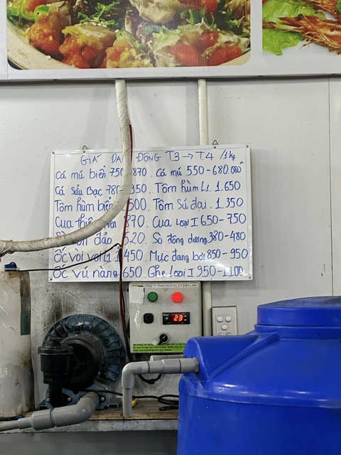 Lãnh đạo Nha Trang yêu cầu làm rõ vụ nhà hàng bị tố chặt chém khách nước ngoài - Ảnh 4. Lãnh đạo Nha Trang yêu cầu làm rõ vụ nhà hàng bị tố chặt chém khách nước ngoài - Ảnh 4.