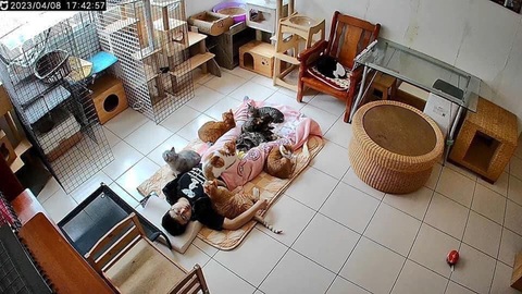 Ảnh vui 10-4: Chọn bạn mà chơi là đây chứ đâu! - Ảnh 2. Ảnh vui 10-4: Chọn bạn mà chơi là đây chứ đâu! - Ảnh 2.