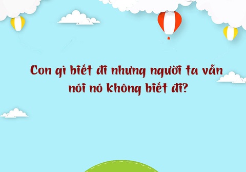 Những câu đố mẹo chỉ người thông minh mới giải được (P2) - Ảnh 4. Những câu đố mẹo chỉ người thông minh mới giải được (P2) - Ảnh 4.