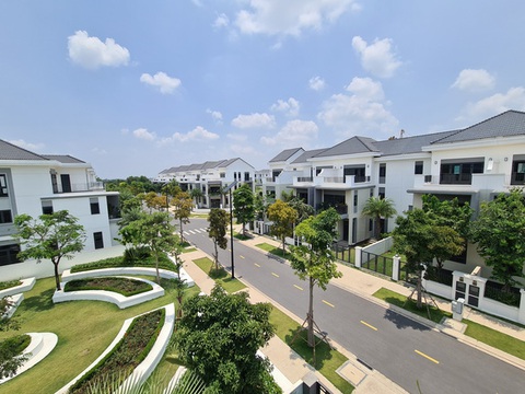 Phó thủ tướng giao lập tổ công tác gỡ vướng cho Novaland - Ảnh 1. Phó thủ tướng giao lập tổ công tác gỡ vướng cho Novaland - Ảnh 1.