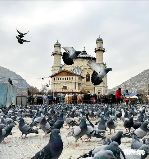 Đến Afghanistan thời Taliban - Kỳ 1: Súng AK và 'bùa hộ mệnh' visa kẹp thông hành - Ảnh 3. Afghanistan triền miên trong chiến tranh nhưng cũng không thiếu những hình ảnh mang ý nghĩa hòa bình này - Ảnh TRUNG NGHĨA