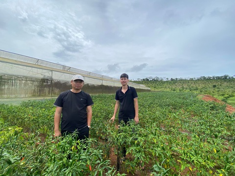 Chàng trai miền Tây lên Măng Đen làm nông nghiệp hữu cơ - Ảnh 3. Chàng trai miền Tây lên Măng Đen làm nông nghiệp hữu cơ - Ảnh 3.