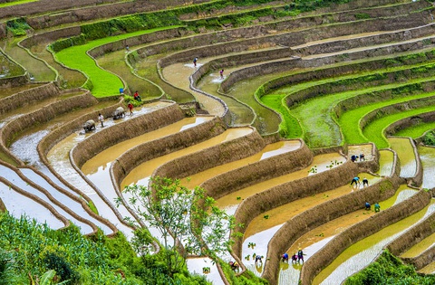 Đất nước tươi đẹp qua ảnh của Vũ Hải - Ảnh 8. Đất nước tươi đẹp qua ảnh của Vũ Hải - Ảnh 8.