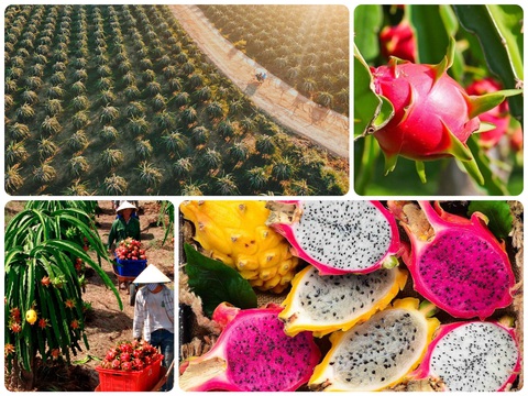 Thêm 9 món ăn đặc sản Việt vào kỷ lục châu Á - Ảnh 10. Thêm 9 món ăn đặc sản Việt vào kỷ lục châu Á - Ảnh 10.